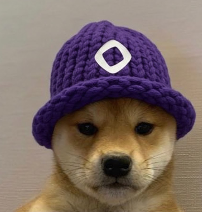 TrackyyDEV's tweet image. We have a the biggest runner dogwifhat, but we need a runner on MONAD this is a $MONADWIFHAT