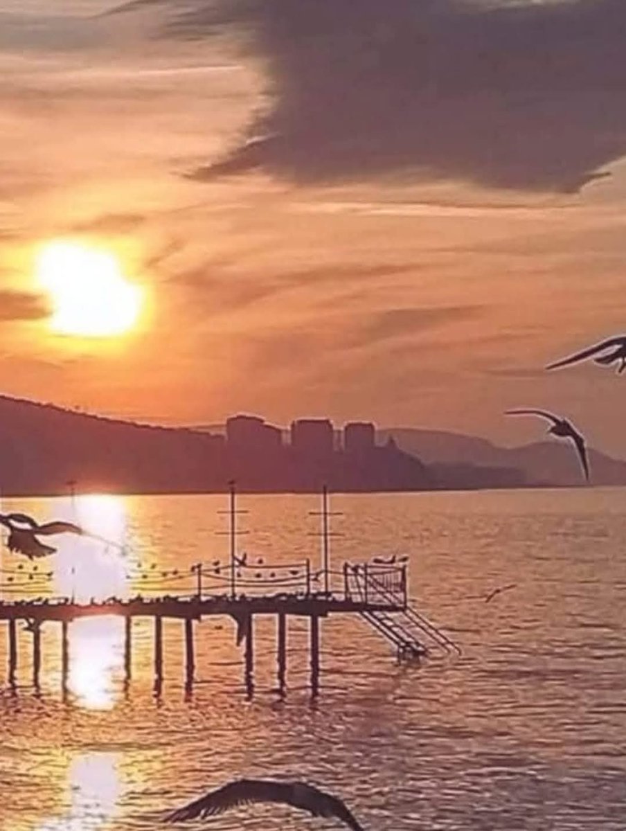 msbalioglu's tweet image. 24.11.25