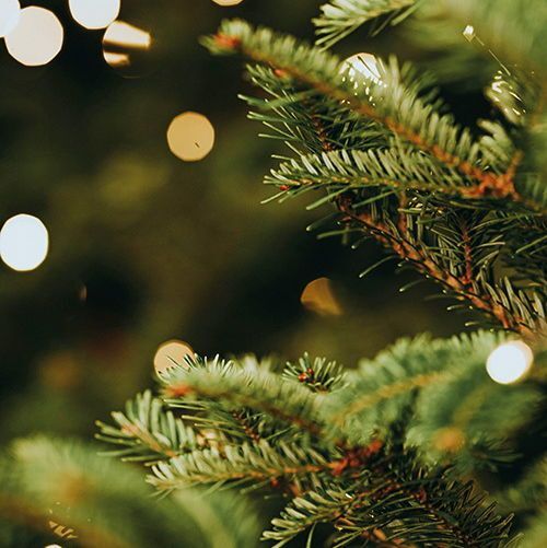 Christmas Lights Switch-On. Market Place, Thirsk YO7 1EY. With live music and Father Christmas. Switch-on 6.30pm. For more information click here 👉 visitthirsktown.com/events/