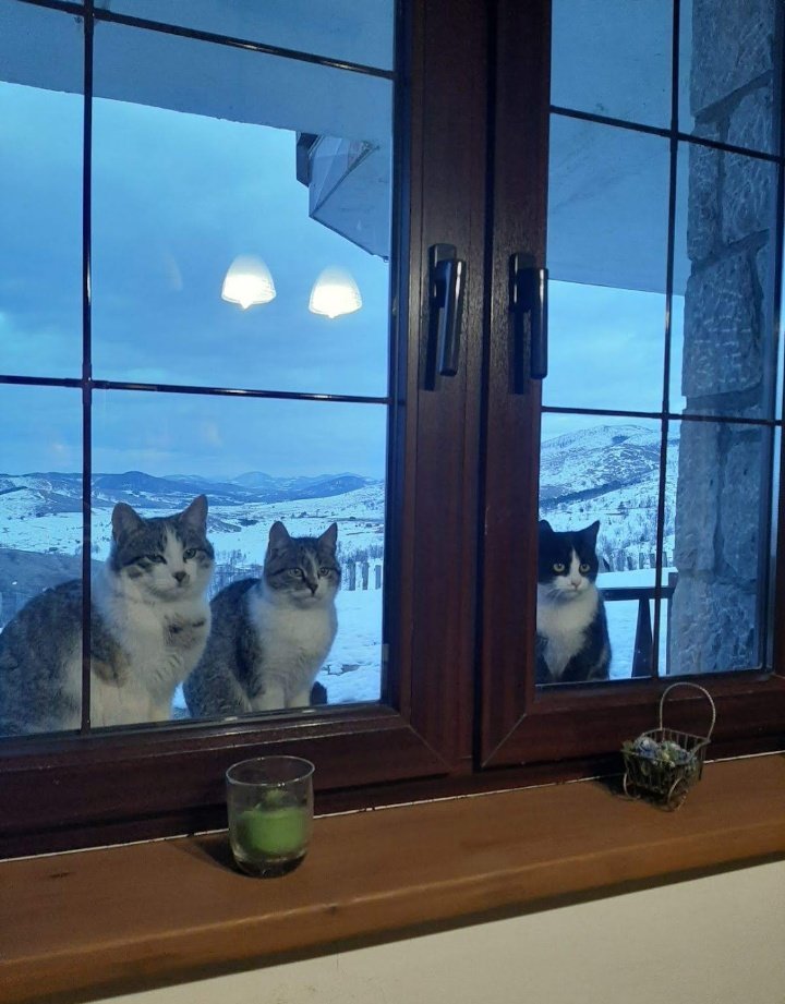 Sa jednog prozora na Zlatiboru