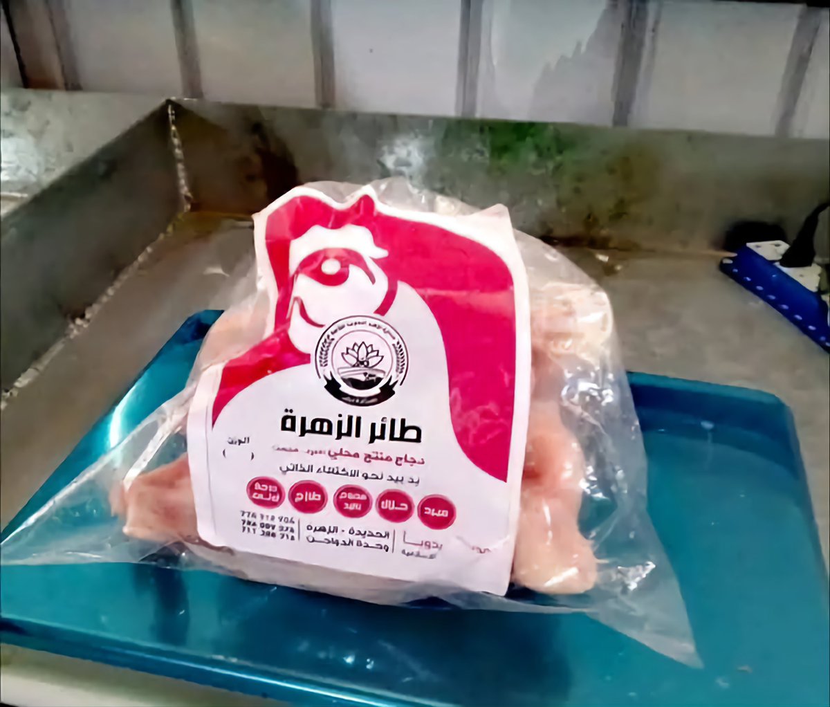بفضل الله 
دشنت اليوم جمعية الزهرة محافظة الحديدة تسويق دجاج منتج محلي (مبرد ، مجمد) بسعر مناسب والبيع بالوزن. 
السعر للمستهلك 1400 ريال / كجم / دجاج مبرد - طازج - مواصفات متميزة.

#معا_نحو_الاكتفاء_الذاتي 
#معا_لدعم_المنتج_الوطني