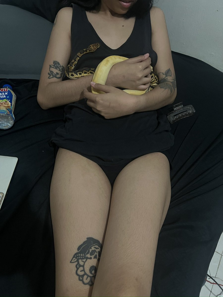 JulianJulizm's tweet image. i call this &quot;Family Potrait&quot; 

#ballpython