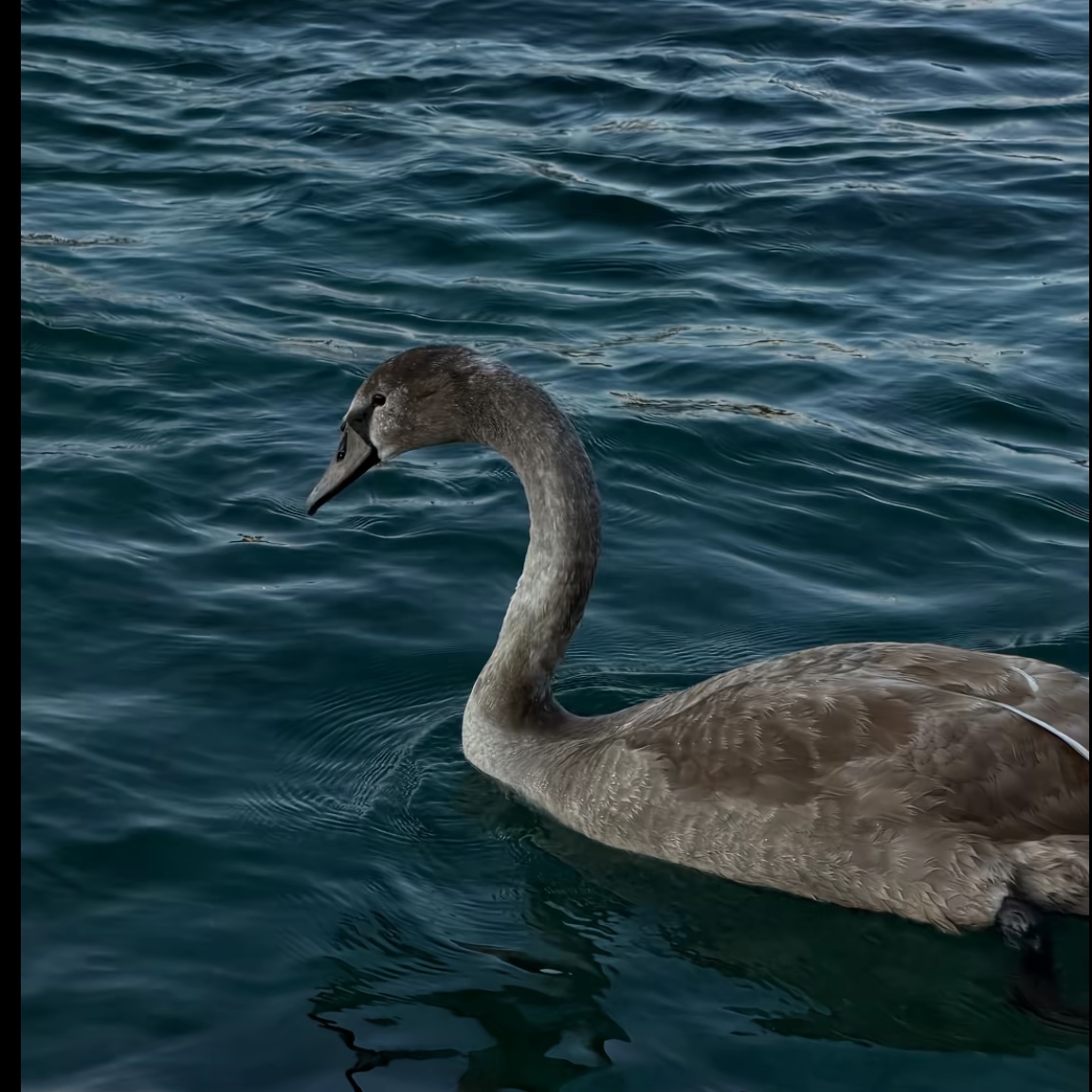 memookhattab's tweet image. My lover Mohmmed is also perfect at taking pics from different angles like me 🫦❤️‍🔥❤️‍🔥💋habibi🫦🫦❤️❤️ my God protect him for me in every country on this earth 

Pics by Mohmmed’s phone💋💋❤️‍🔥✈️✈️✈️