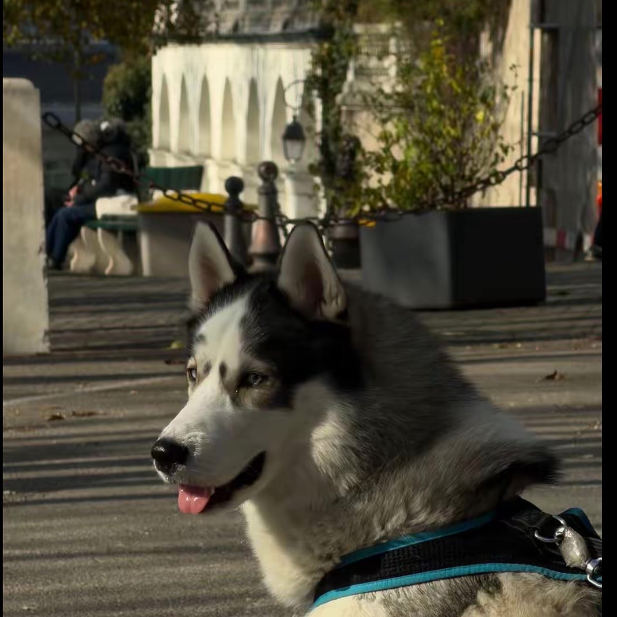 memookhattab's tweet image. My lover Mohmmed is also perfect at taking pics from different angles like me 🫦❤️‍🔥❤️‍🔥💋habibi🫦🫦❤️❤️ my God protect him for me in every country on this earth 

Pics by Mohmmed’s phone💋💋❤️‍🔥✈️✈️✈️