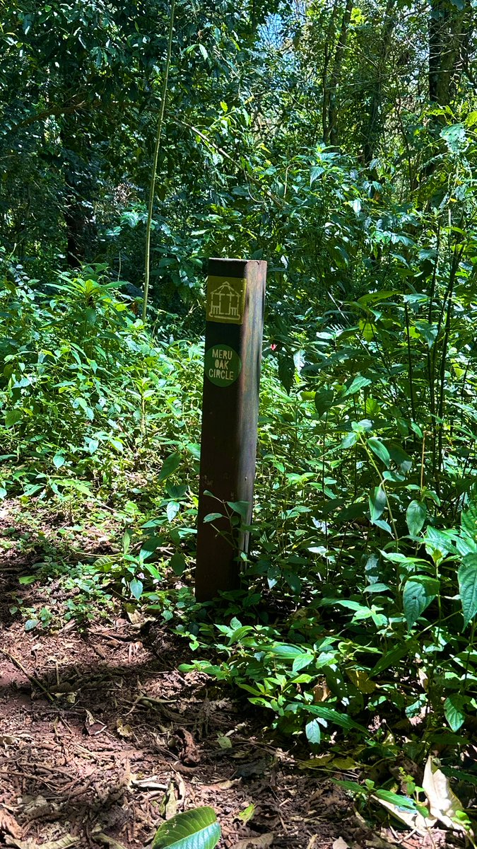 waithera_jk's tweet image. today i walked 3km and had creamy shrimp pasta for dinner ☘️