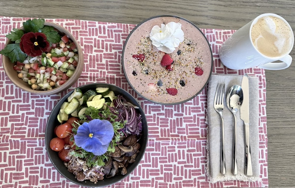 Bryan Johnson tweet media