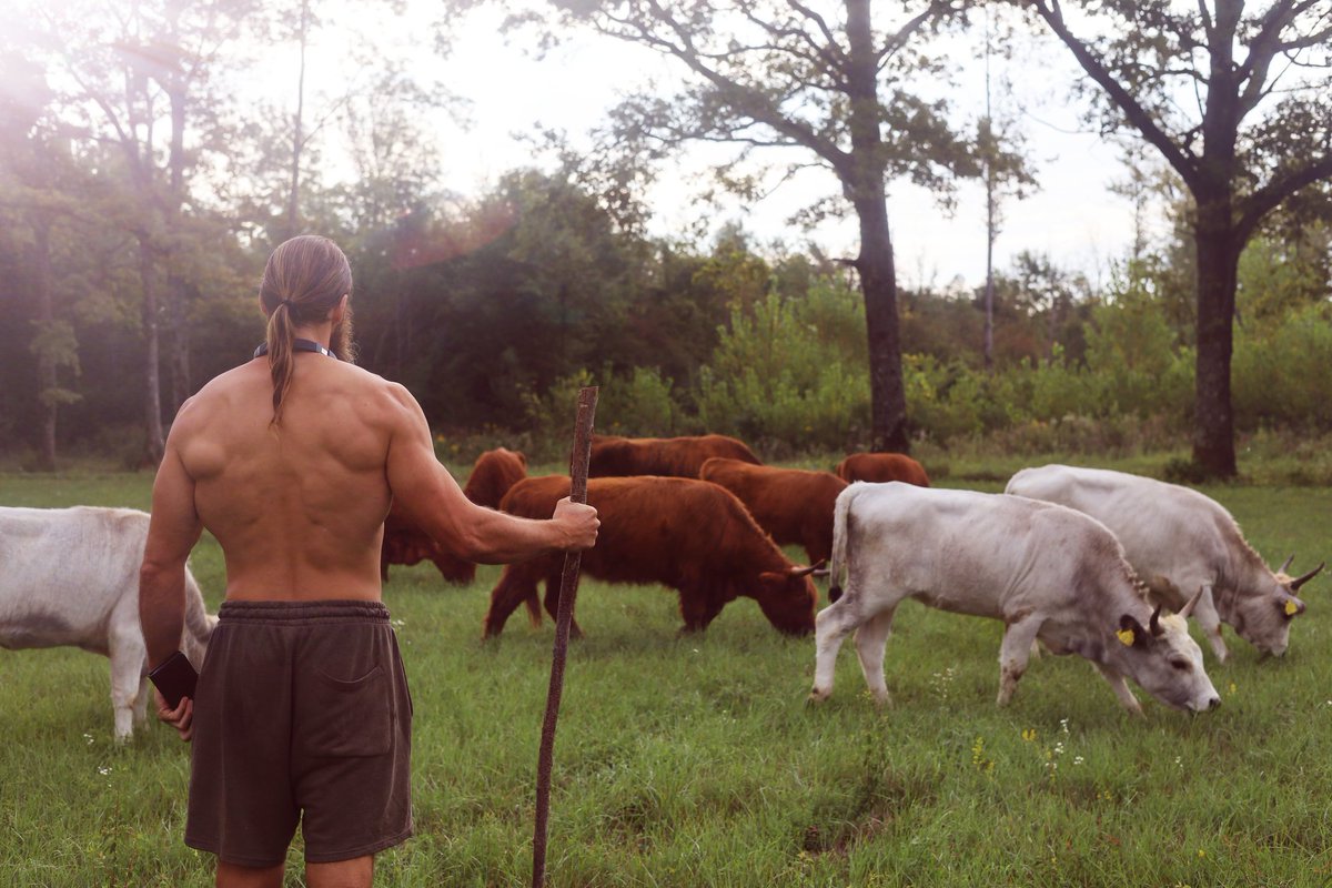 KingVelesI's tweet image. Today is the 249th day of me maintaining strict daily discipline in multiple areas of my life.

1. Woke up at 6:45 every morning, and got out of bed immediately.
2. Never ate more than one meal a day. No snacks.
3. Worked out every day. No rest days, no deloads. Started with…