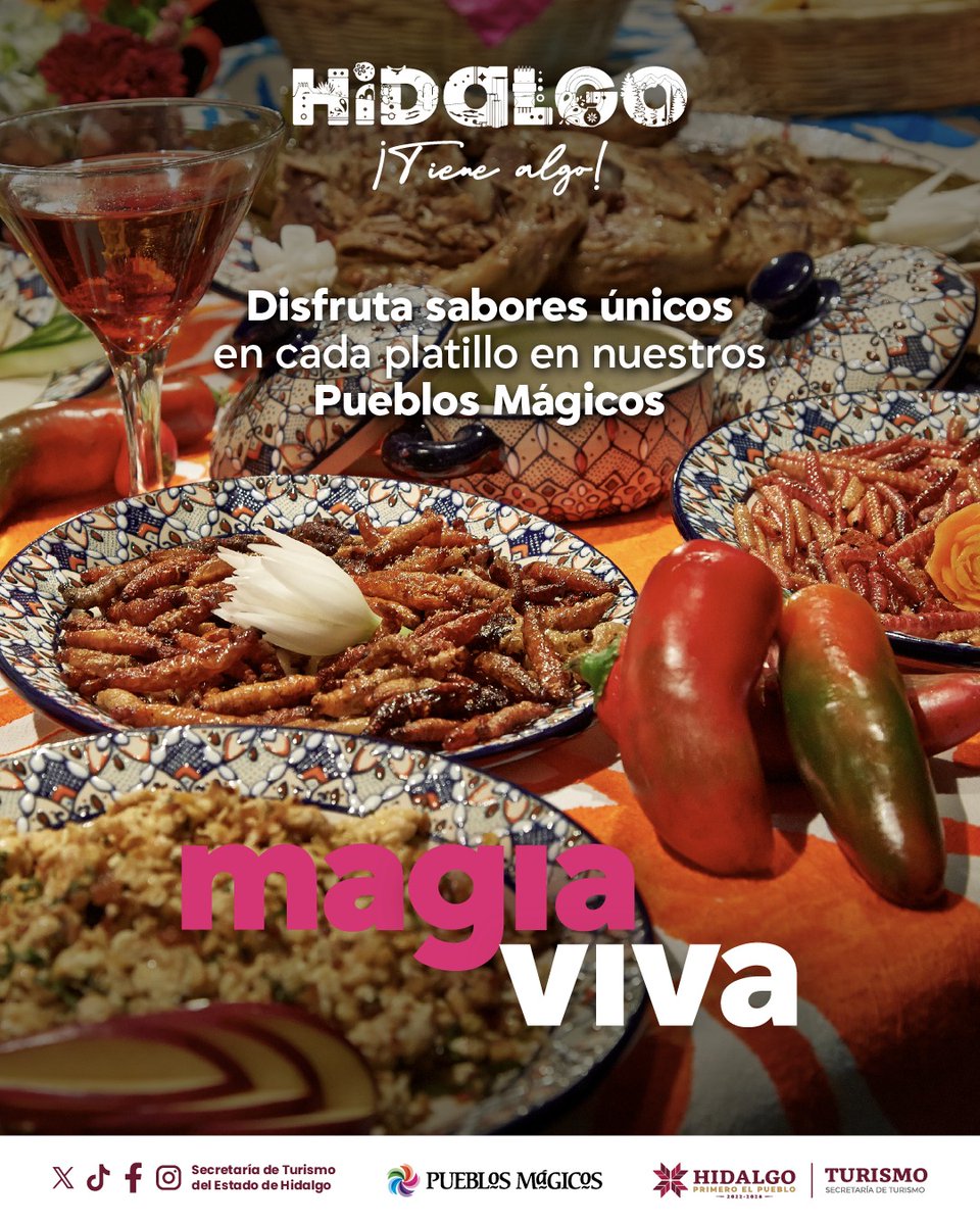 SECTURHidalgo's tweet image. En los Pueblos Mágicos de Hidalgo, la magia también se saborea.

Nuestra gastronomía refleja la identidad y el orgullo de un pueblo que mantiene viva su esencia.

Hidalgo es Magia Viva… también en su sabor. ✨ 

#HidalgoTieneAlgo #MagiaViva #PueblosMágicos
