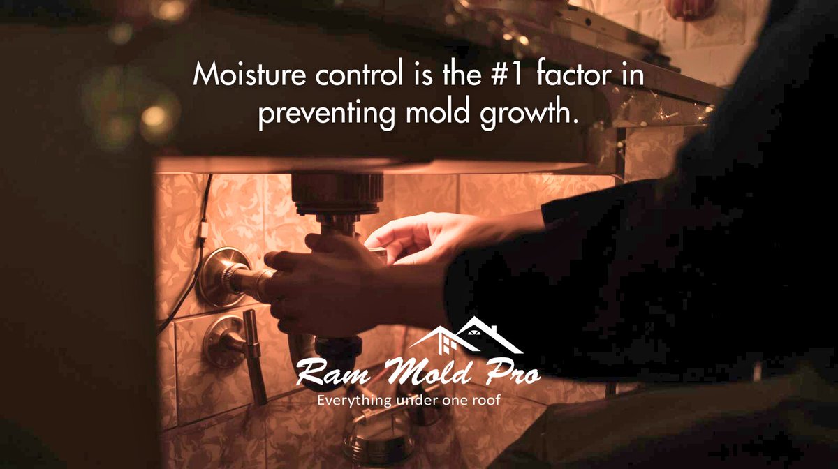 RamMoldPro's tweet photo. Before bed tonight… do this quick mold-prevention check:
✔ Check sinks for moisture
✔ Look for condensation on windows
✔ Run bathroom fans
✔ Check for musty odor near HVAC
If anything seems off, call us.
📞 888-609-6653
#MoldPrevention #HolidayTips https://t.co/02GIcPPduB