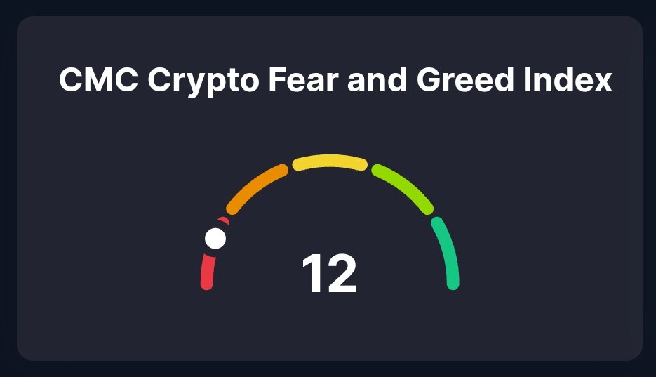 Skartus 🚯 tweet media