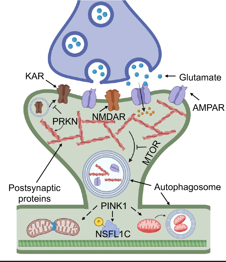 Charleen Chu tweet media