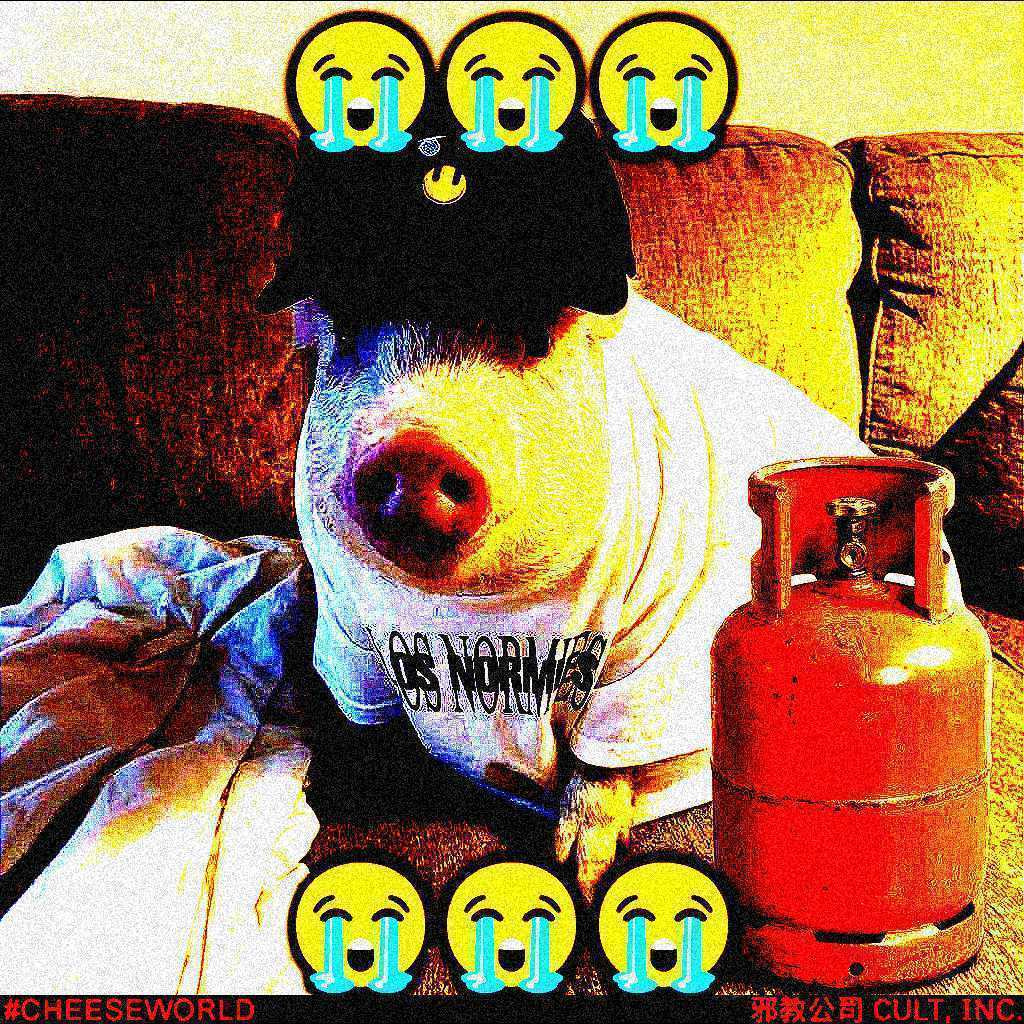 CarlotaFang77's tweet image. PIG ROAST TODAY.

The Milady Pig Roast is a curated event with FREE PIG and FREE BEER.

The night is split into two parts:
VIPs:  you already have your special arrival time for the GREAT MILADY PIG ROAST (dinner + FREE PIG + FREE BEER + FREE WINE)

Cocktail: If you’re approved on…