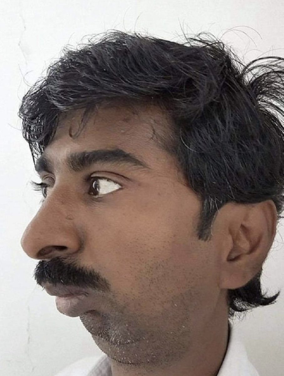 alifarhat79's tweet image. Profile pic:                           Location: