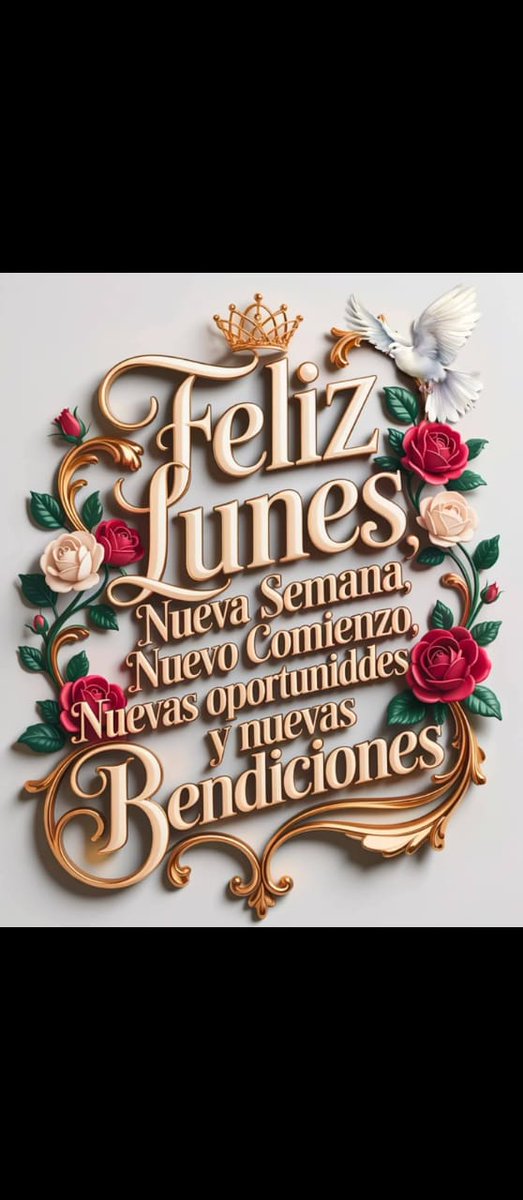 GabrielCodecid1's tweet image. Feliz comienzo de semana