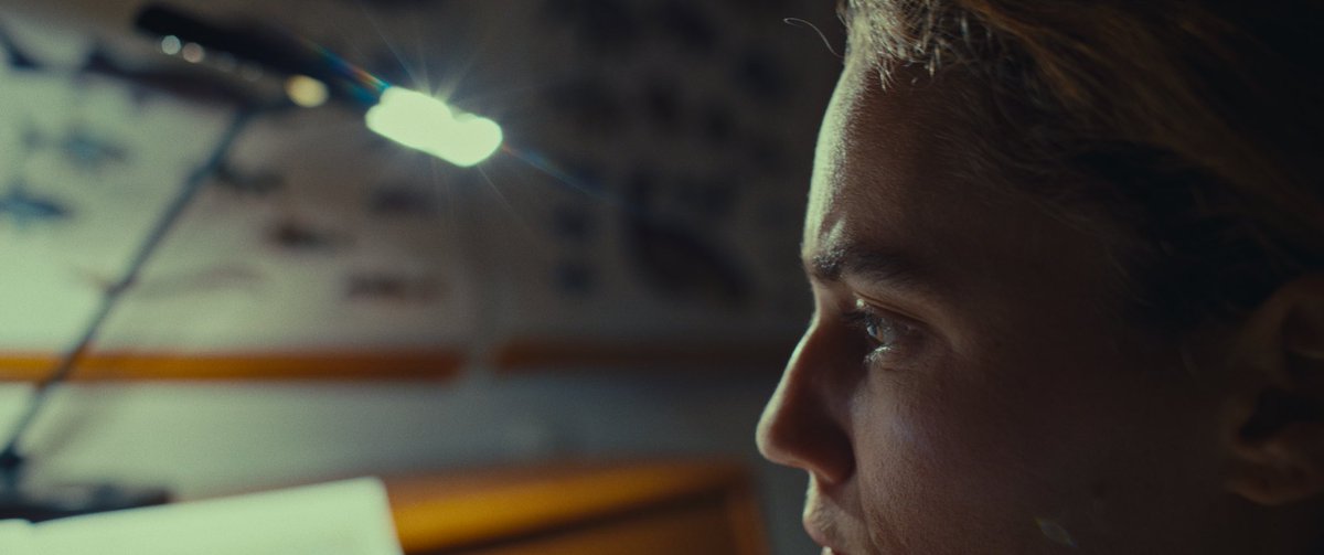 Kai Bauer tweet media