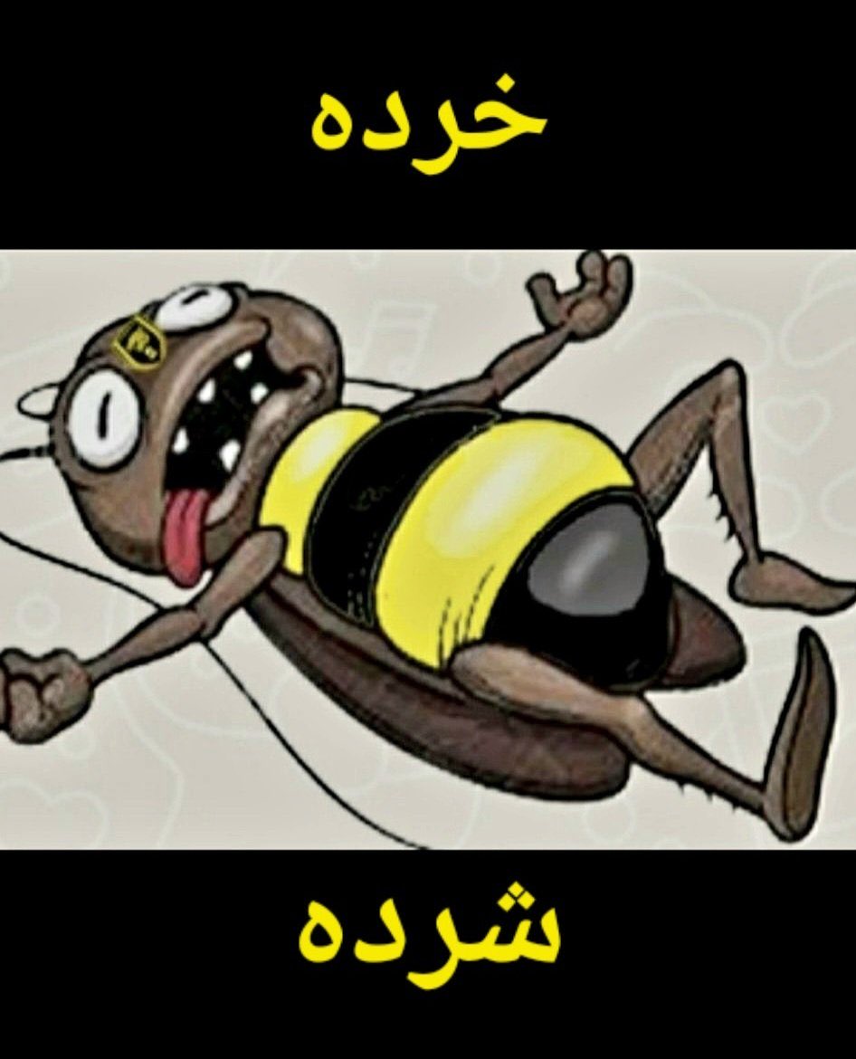 همّ همّ . لاجديد.