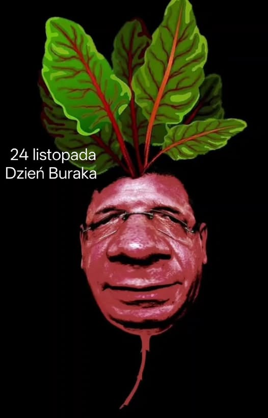 Filigranowa (@koloproktologi1) on Twitter photo 