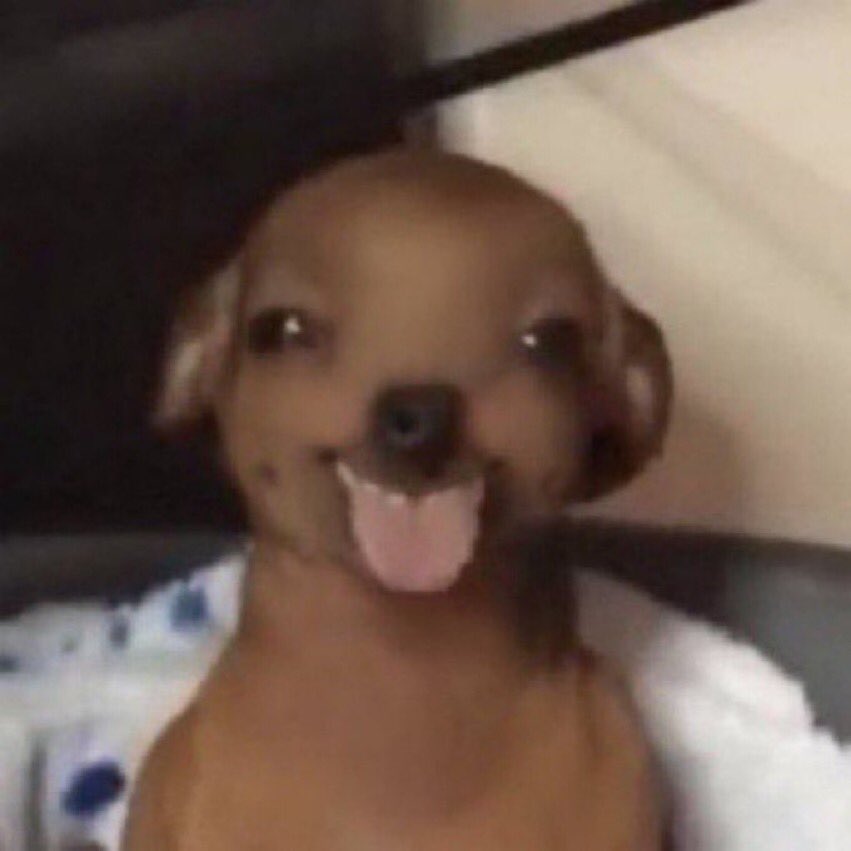 me as people get visibly confused when i use partner, gf, and bf interchangeably for my partner