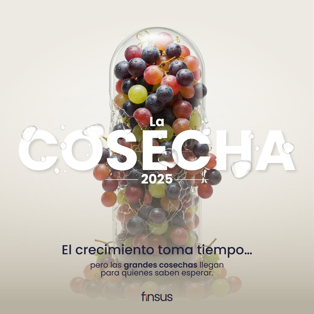 Todo lo bueno toma tiempo… y está por llegar el tiempo de cosecha 🌾
¿Están listos para lo que hemos estado sembrando para ustedes? 

#Finsus #FinanzasTransparentes