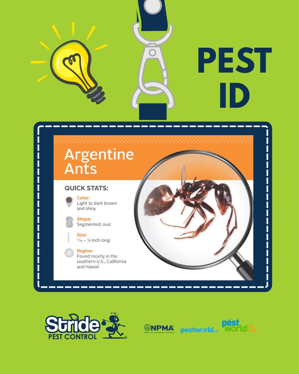 stridepest's tweet image. Different types of ants bring different kinds of trouble to your home.

No matter the species, Stride Pest Control is ready to handle them all.
Protect your home with proven, professional ant control.

#StridePestControl #AntProtection #PestFreeLiving