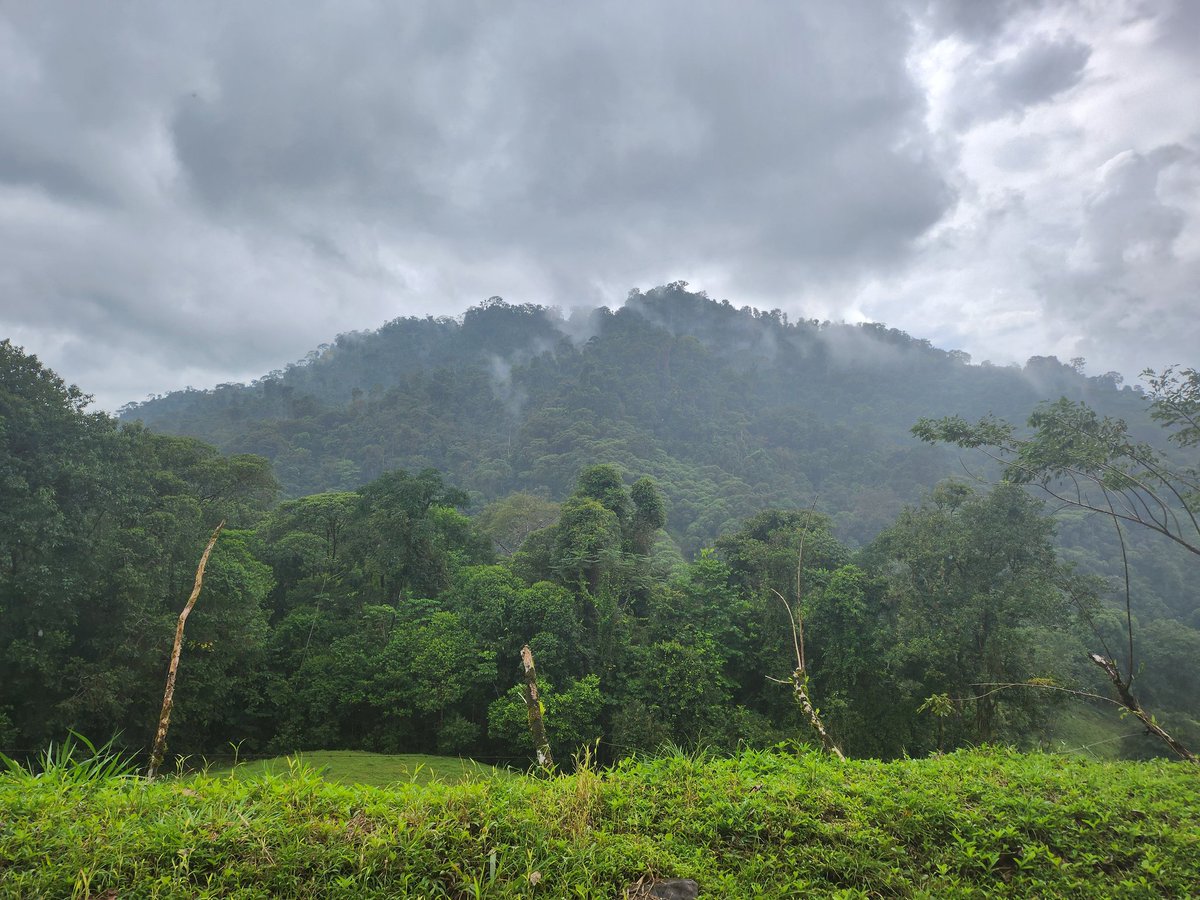 JWendleken91807's tweet image. This is what people should be doing, exploring instead of hiding behind their keyboards and becoming sub-humans 🫠