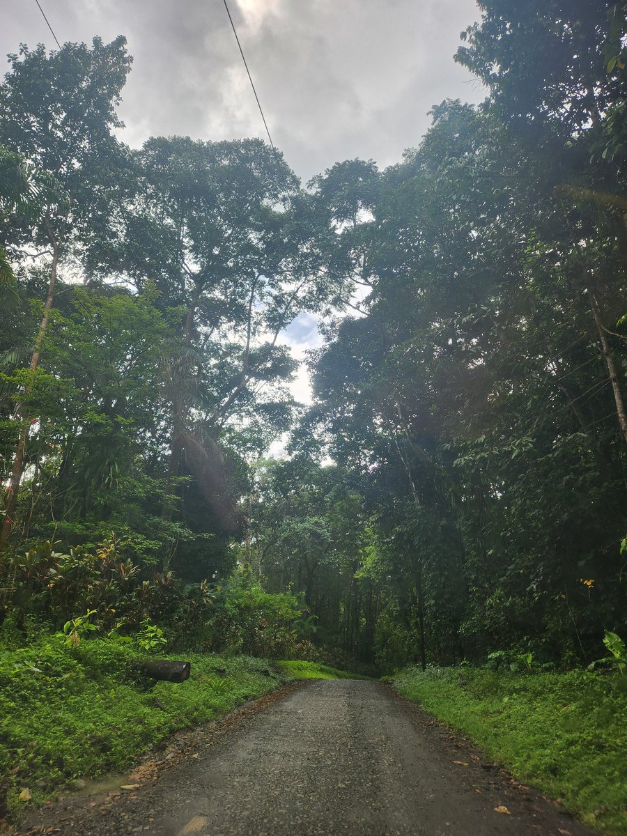 JWendleken91807's tweet image. This is what people should be doing, exploring instead of hiding behind their keyboards and becoming sub-humans 🫠