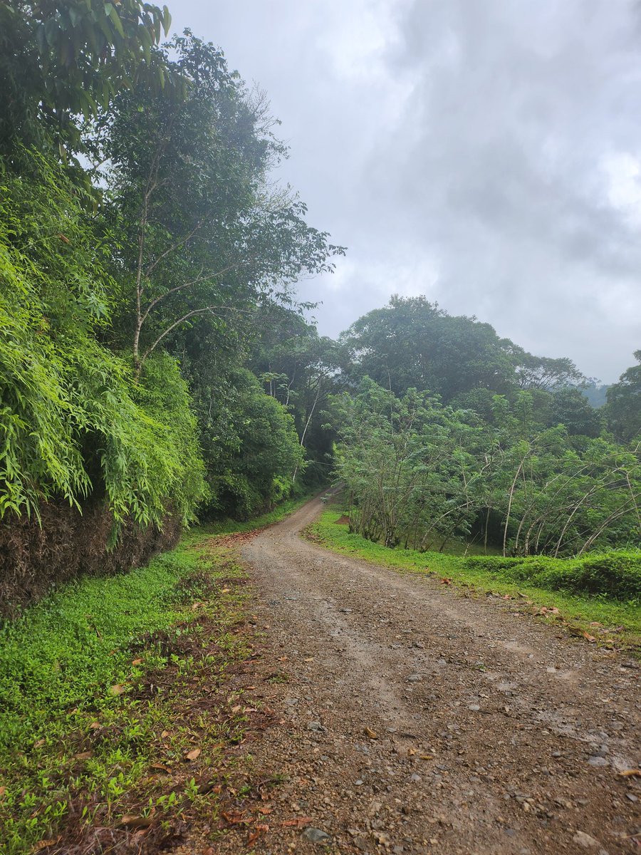 JWendleken91807's tweet image. This is what people should be doing, exploring instead of hiding behind their keyboards and becoming sub-humans 🫠