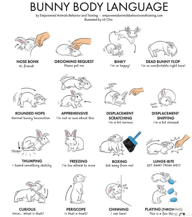 tag yourself, how are you feeling today