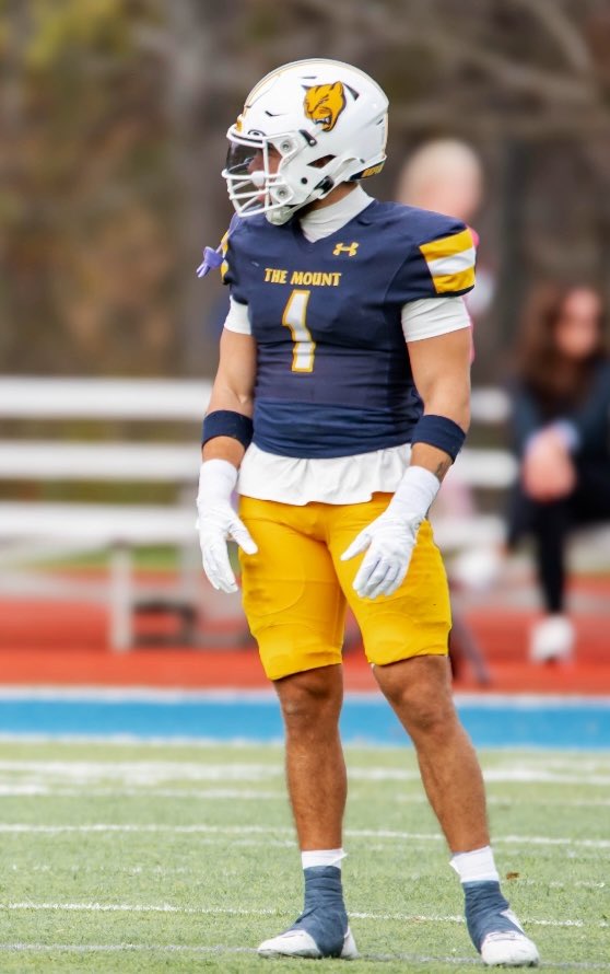 Miles Harding tweet media