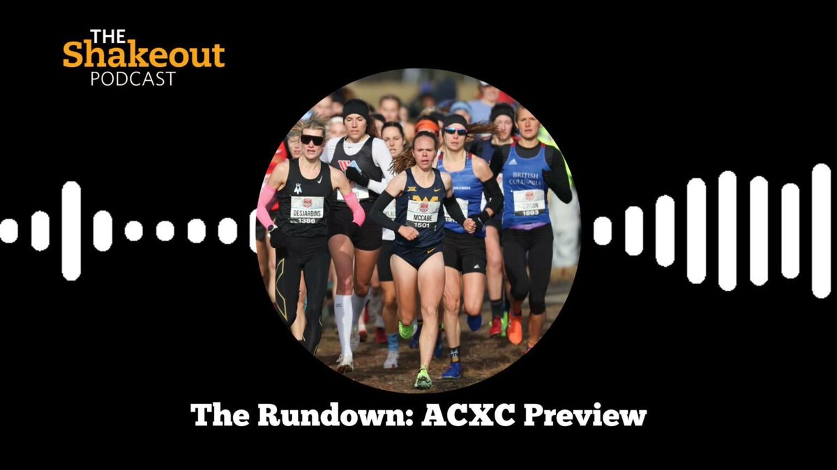 The Shakeout Podcast tweet media