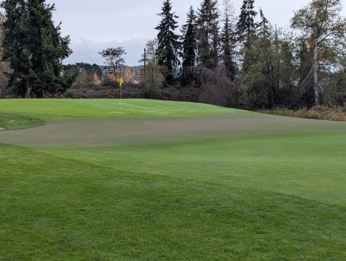 greg matz tweet media