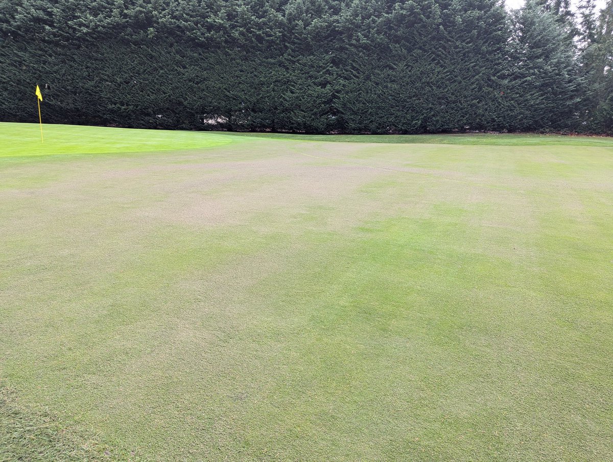 greg matz tweet media