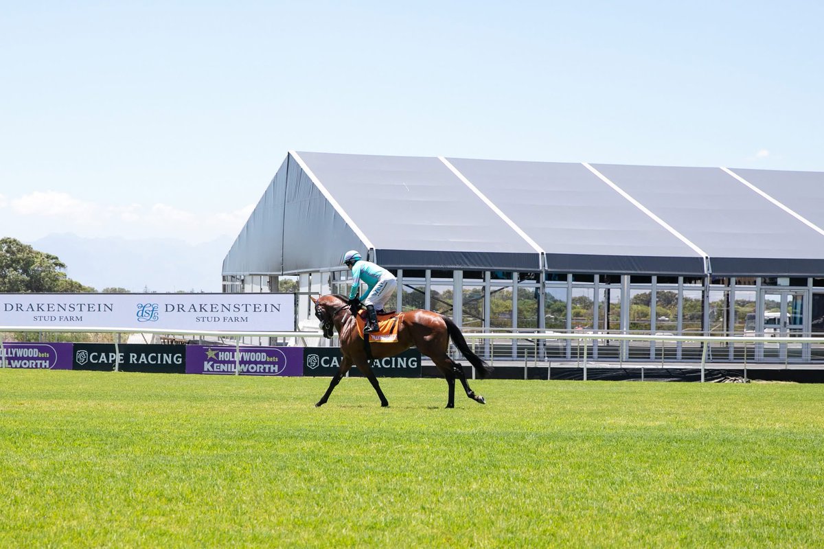 Indulge in an unforgettable day with us for #LKP2026 on Saturday, 10th January 2026.

Get ready to enjoy a day full of top-tier horse racing whilst being submerged in style and glamour. More details can be found on our website: lormarinskingsplate.co.za.
.
#LOrmarins #165LKP