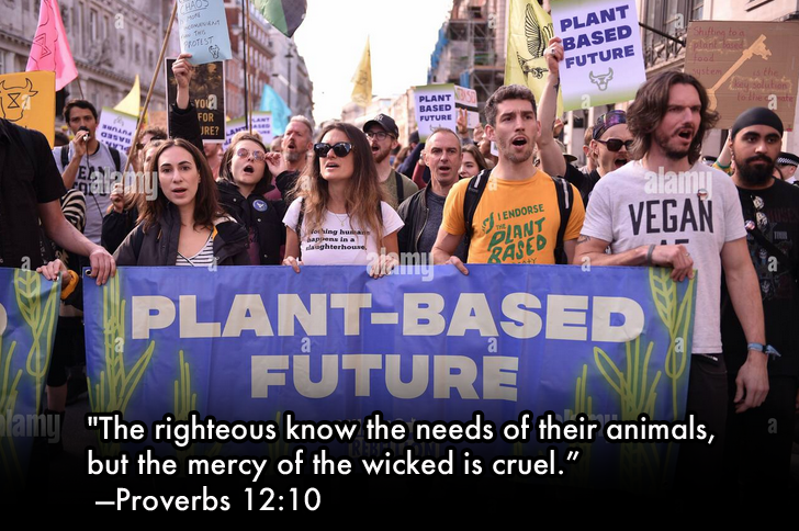 vgn_karma's tweet image. Vegans are righteously living in accordance with God&apos;s plan. 

Why are you still choosing to be cruel and wicked?