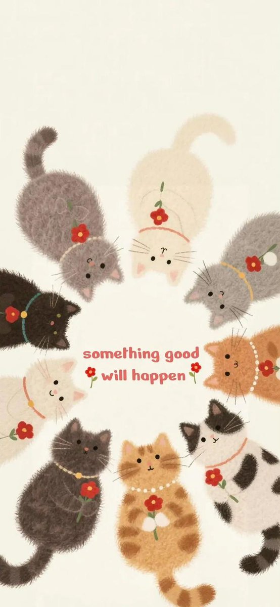 cutedreamvibes's tweet image. 