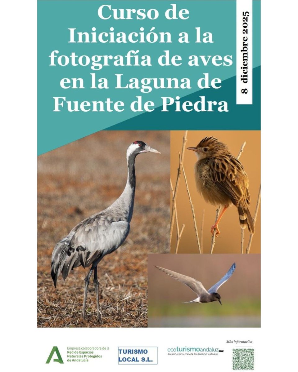 Para más información:
952712554
cvjoseantoniovalverde.amaya@juntadeandalucia.es