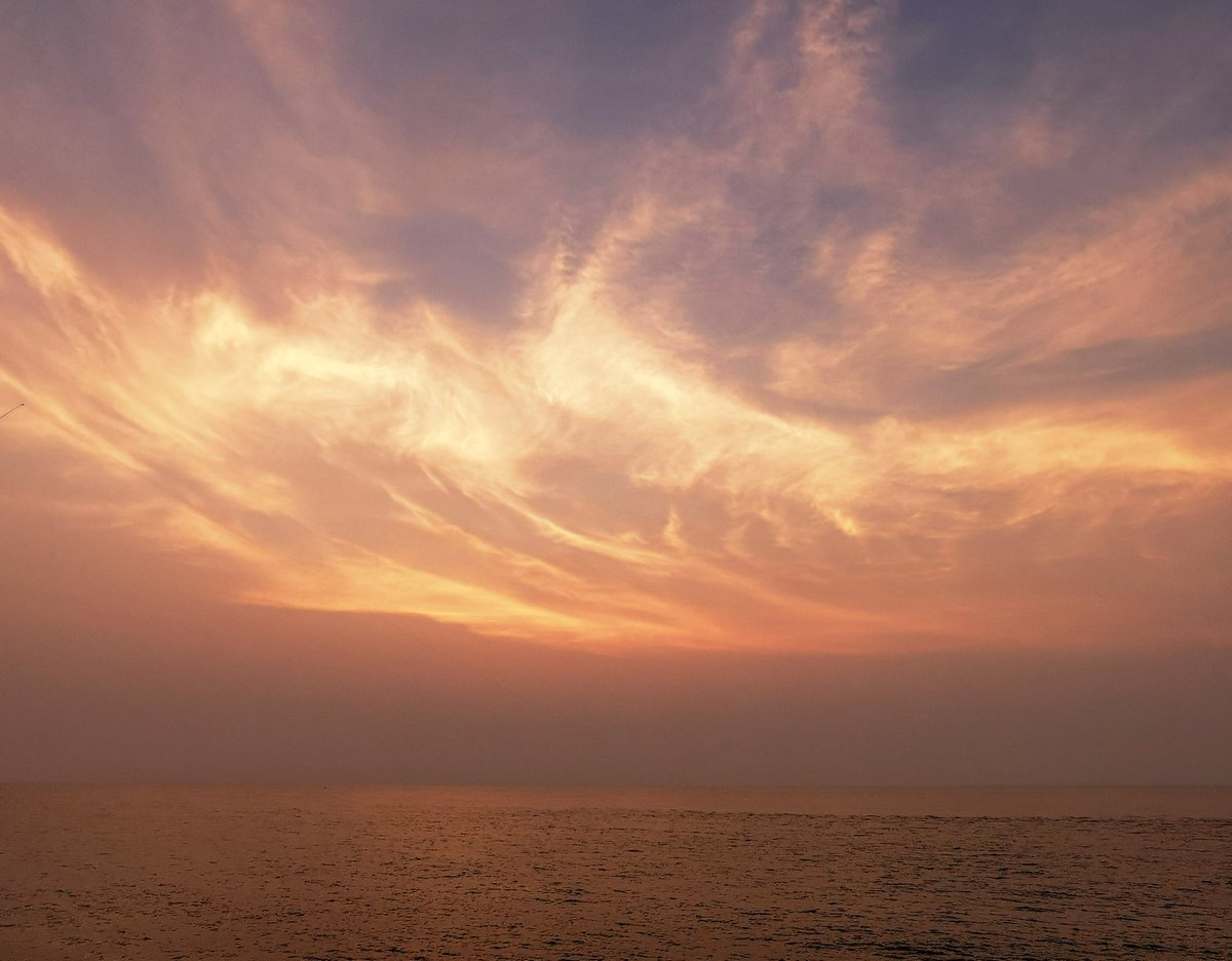 نبيه (@mohamednabih72) on Twitter photo 