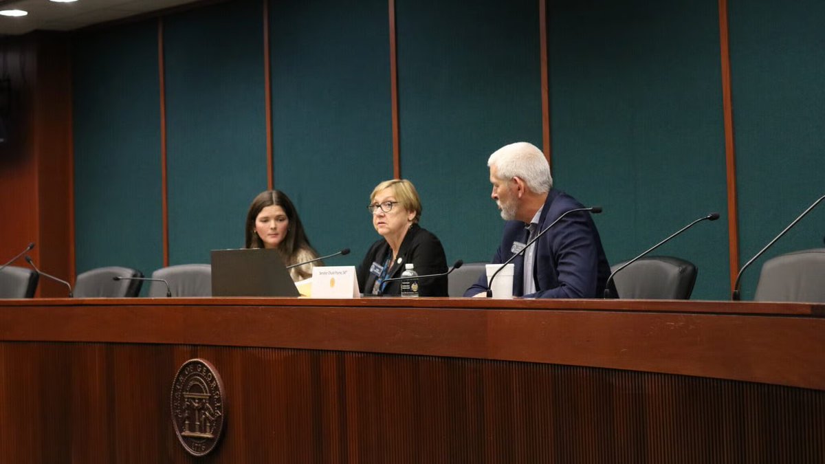 Each year, about 700 young adults age out of foster care in Georgia and lose access to the supports available to them while they were part of the state’s system.

Now, a Senate study committee is taking a closer look at how the state Legislature can help this vulnerable group of