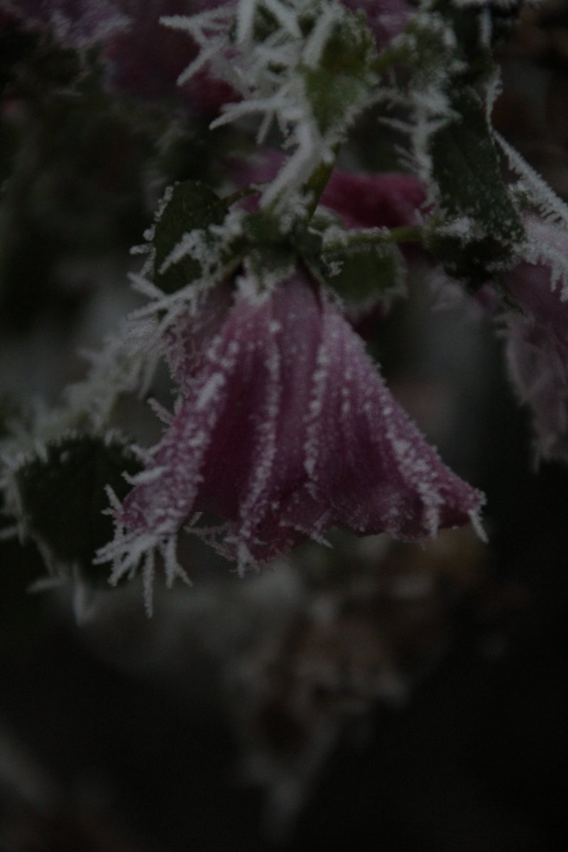Ich wünsche Euch einen schönen gemütlichen Abend kommt gut in die Betten und schlaft dann schön. Bis dahin 🙋‍♂️😴