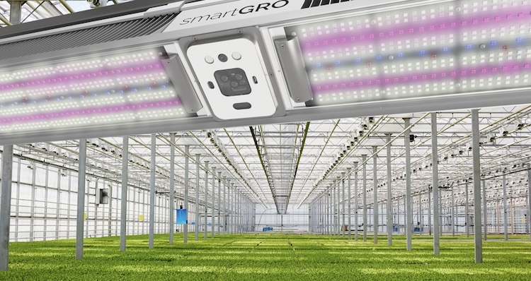 The Grower tweet media