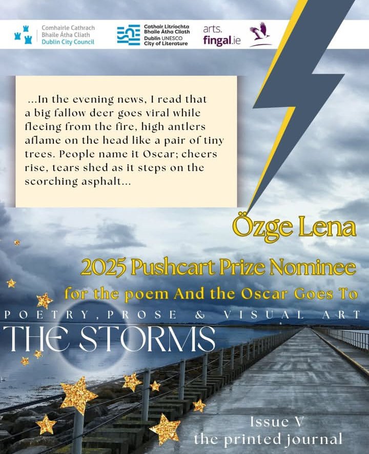 lenaozge's tweet image. ⚡💙 @StormsJournal