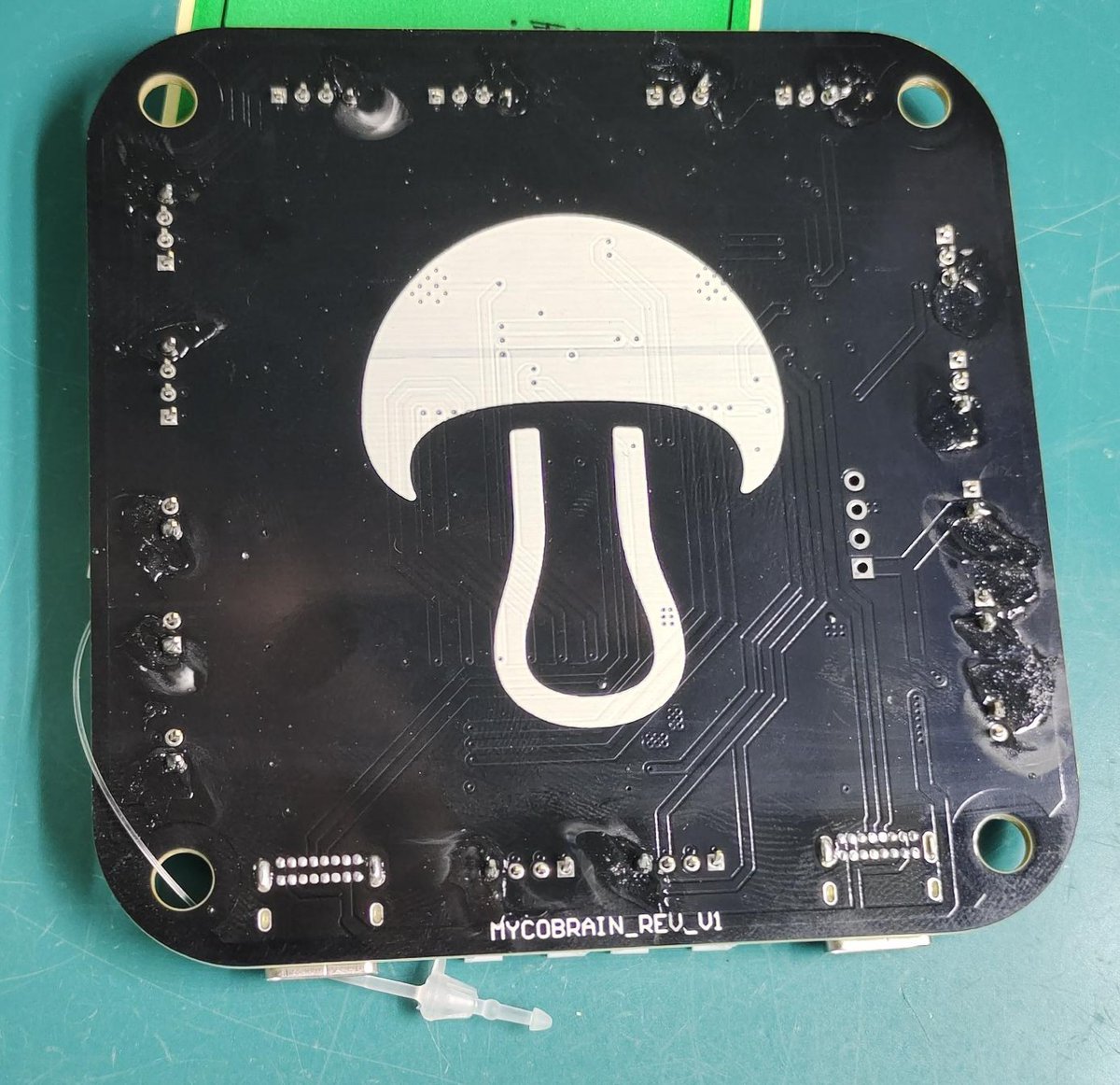 Mycosoft tweet media