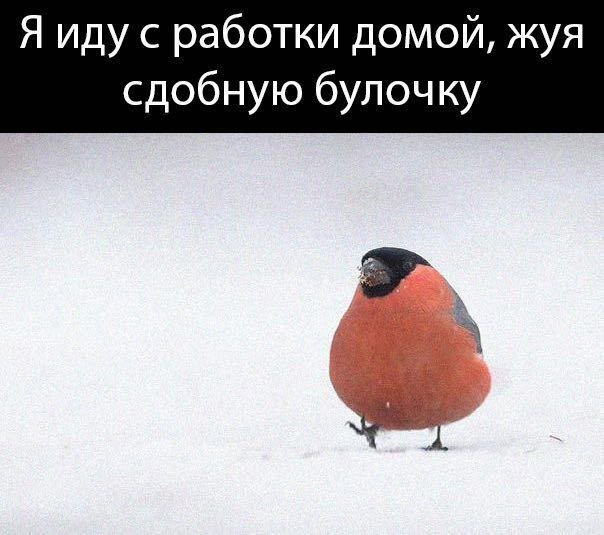 DantesDmitriy's tweet image. 