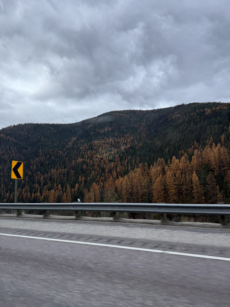 Idaho has this!
What does your state has?