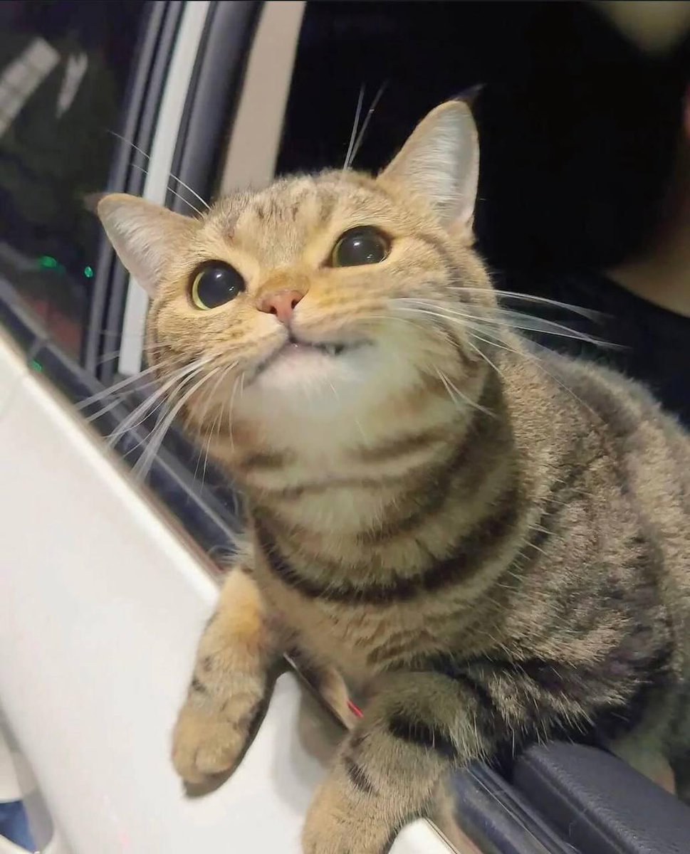 Hey! Looking for editors to go through and chop down my casts for funny / clippable moments. Looking to find peoples day rates