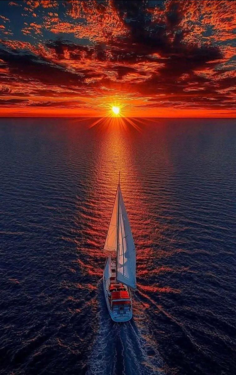 Pavlo 🏝️🐬 (@pavlo_ua) on Twitter photo 