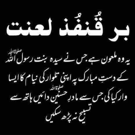 سیدہ فاطمتہ الزہرہ سلام اللّٰہ علیہا کے ہر زندہ و مردہ 
حقدار پر لعنت  تا قیامت ۔۔۔ بیشمار 🖐️🖐️
#اللهم_عجل_لولیک_الفرج