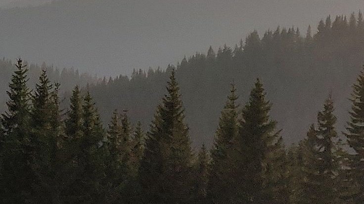 JiScriptedHu's tweet image. back