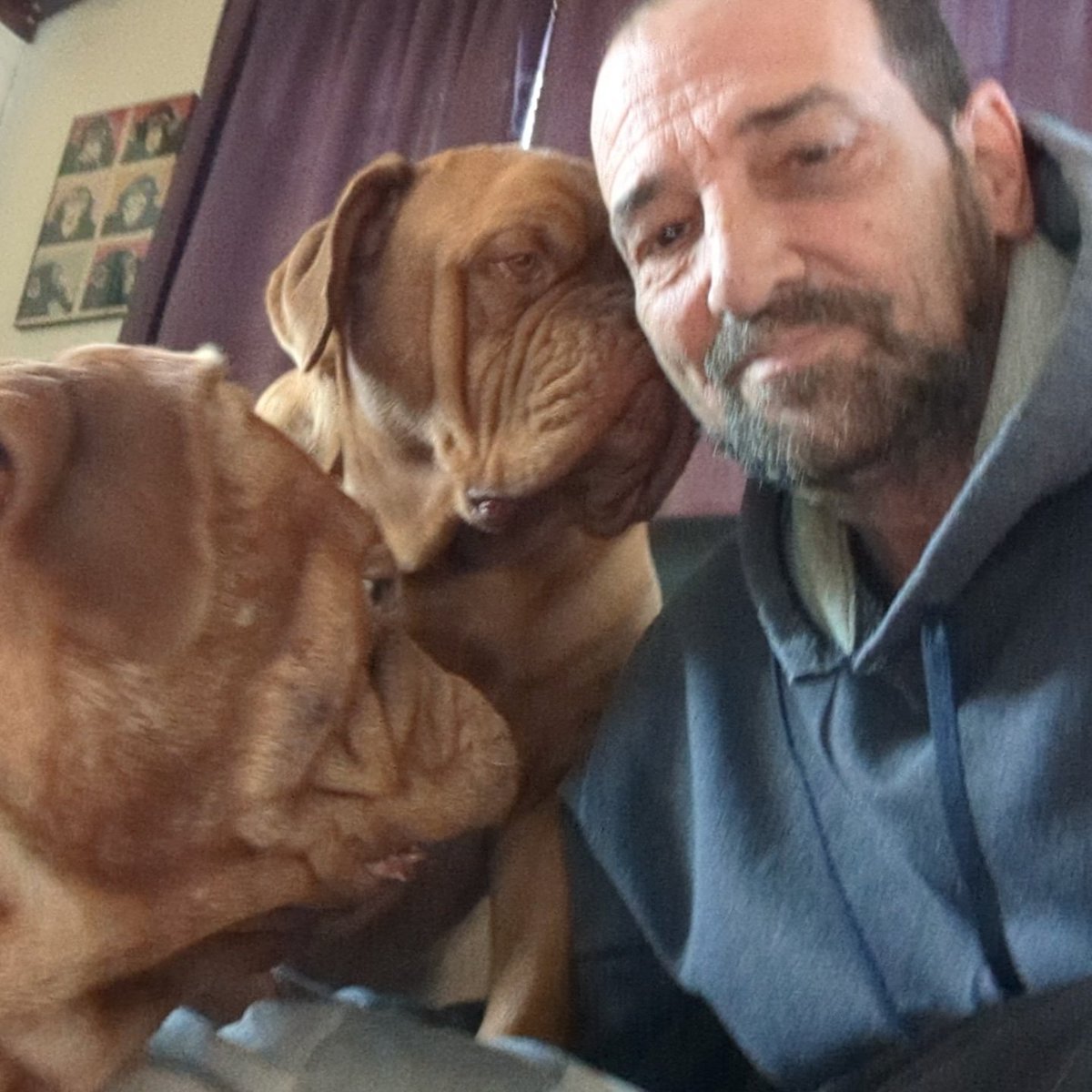 mafia_mastiff's tweet image. I&apos;m truly overwhelmed by the generosity of people on here. I can honestly say that my life is so much better having you as friends over the years. Some of you literally saved my dog Oscars life and I&apos;ll never ever forget that. Thank you from the bottom of my heart 💞🙌🇺🇸😊