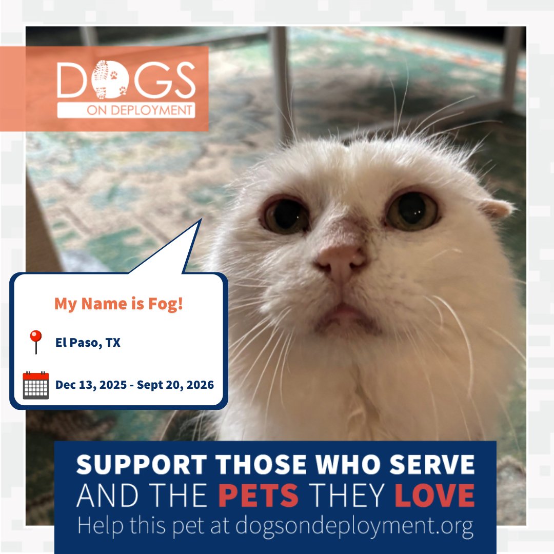 Dogs on Deployment tweet media